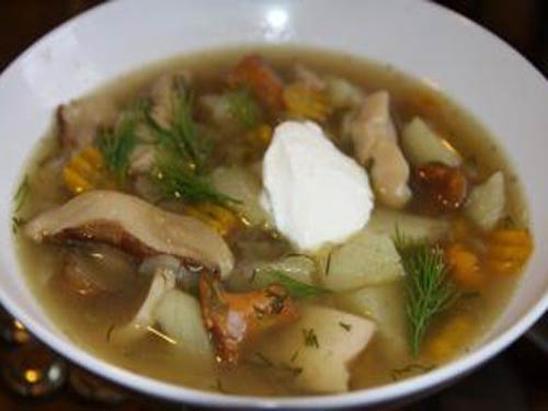 Рецепт суп грибной
